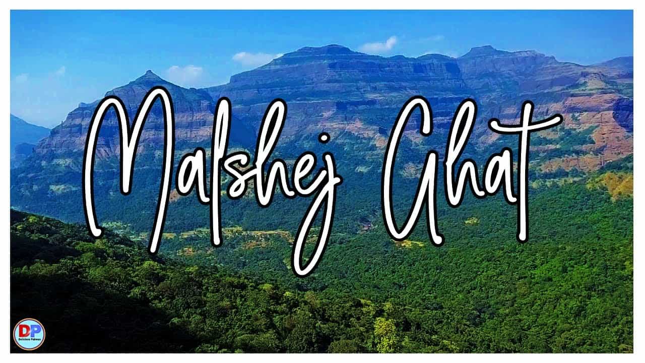 Malshej Ghat| Must Visit Place in Maharashtra | Delicious Pakwan