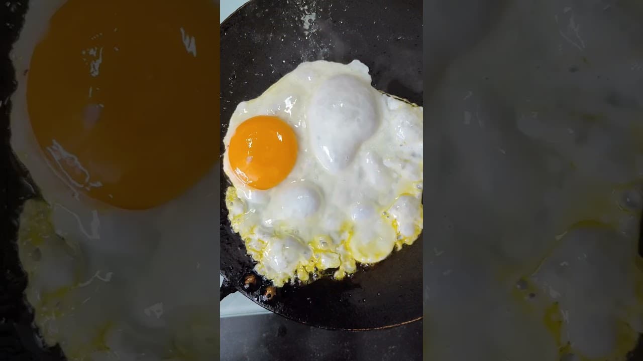 Egg