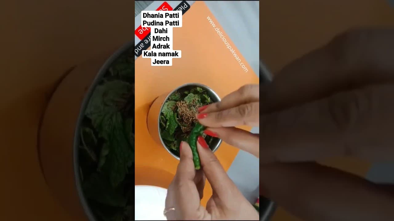 Delicious Pakwan Short